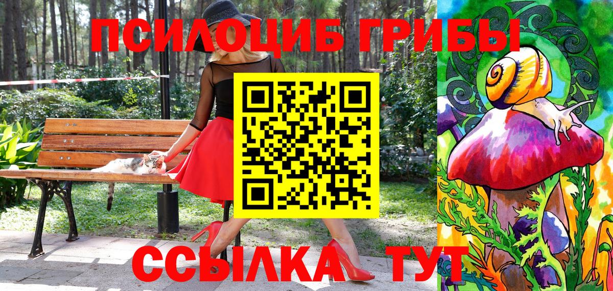 Псилоцибиновые грибы MAGIC MUSHROOMS  Вход с VPN  Кохма  Галлюциногенные грибы Magic Shrooms 