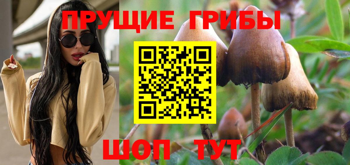 Галлюциногенные грибы ЛСД Кохма